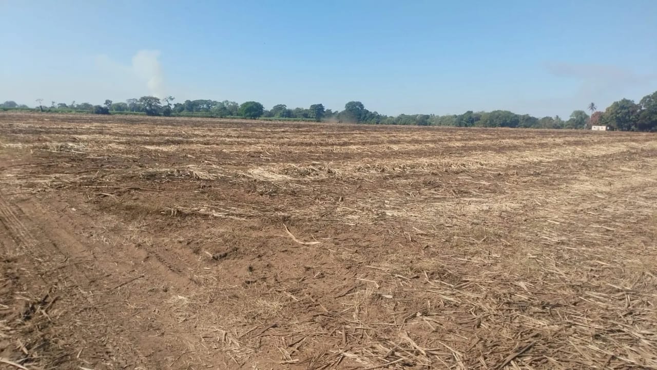 FINCA DE 16 MANZANAS PLANAS DEMOCRACIA ESCUINTLA — Finca en Venta en La Democracia, Escuintla — foto 3 de 4