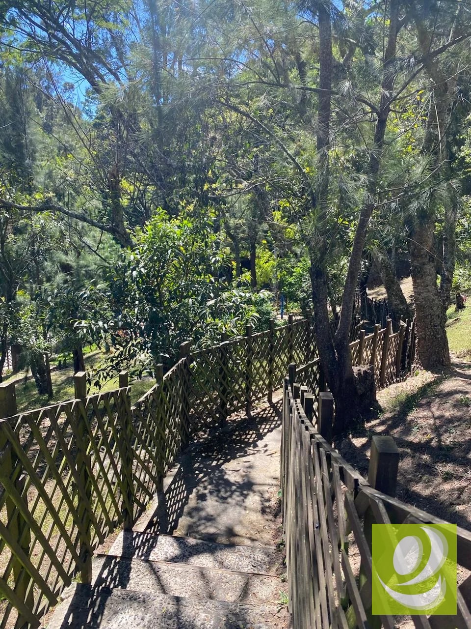 APARTAMENTO EN VENTA / RENTA ALTA VILLA NARANJO - 6