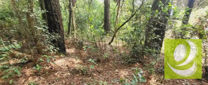 Terreno Residencial en Venta en Zona 9 Mixco Guatemala — Terreno en Venta en Zona 9 Mixco, Guatemala, Ciudad — foto 2 de 3
