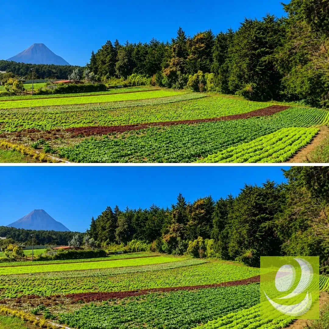 Terreno en Venta en Santo Tomas Milpas Altas — Terreno en Venta en Santo Tomás Milpas Altas, Sacatepéquez — foto 4 de 7