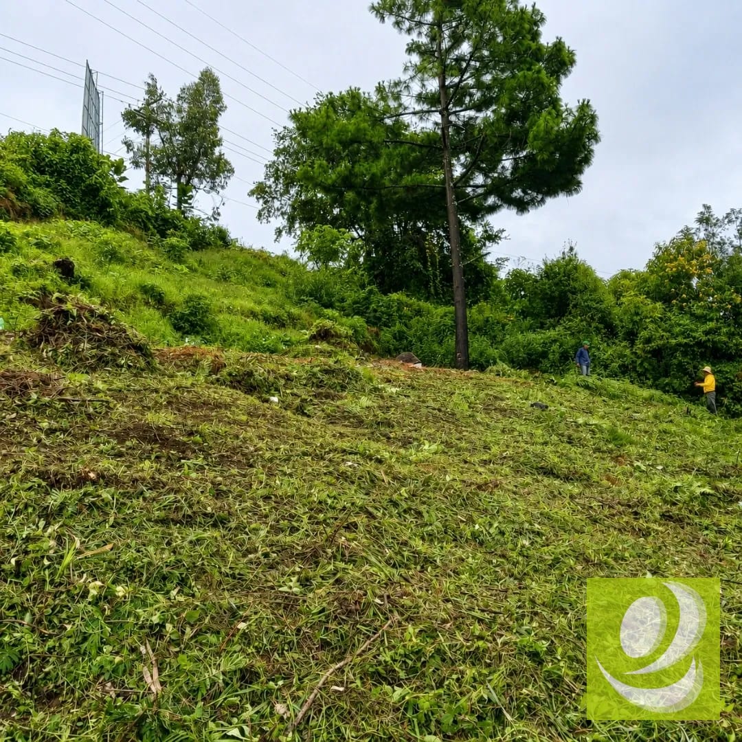Terreno en Venta en Santiago Sacatepéquez — Terreno en Venta en Santiago Sacatepéquez, Sacatepéquez — foto 4 de 6
