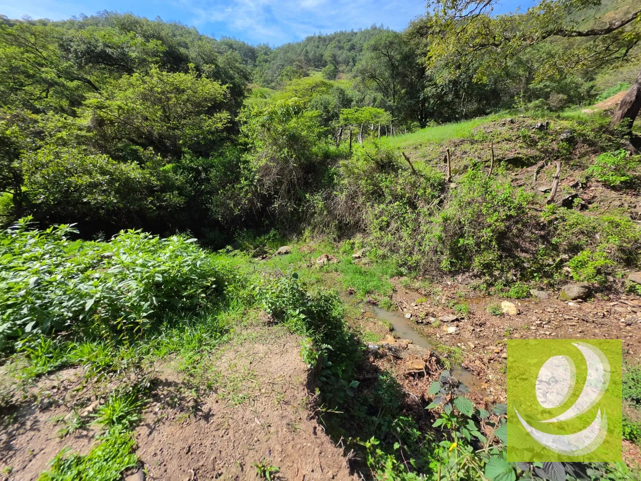 FINCA DE 43.7 MANZANAS EN VENTA | HUEHUETENANGO — Finca en Venta en Huehuetenango, Huehuetenango — foto 1 de 6