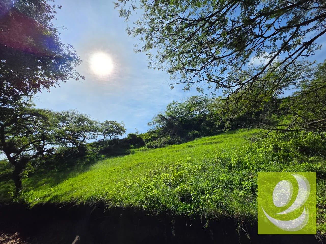 FINCA DE 43.7 MANZANAS EN VENTA | HUEHUETENANGO — Finca en Venta en Huehuetenango, Huehuetenango — foto 4 de 6