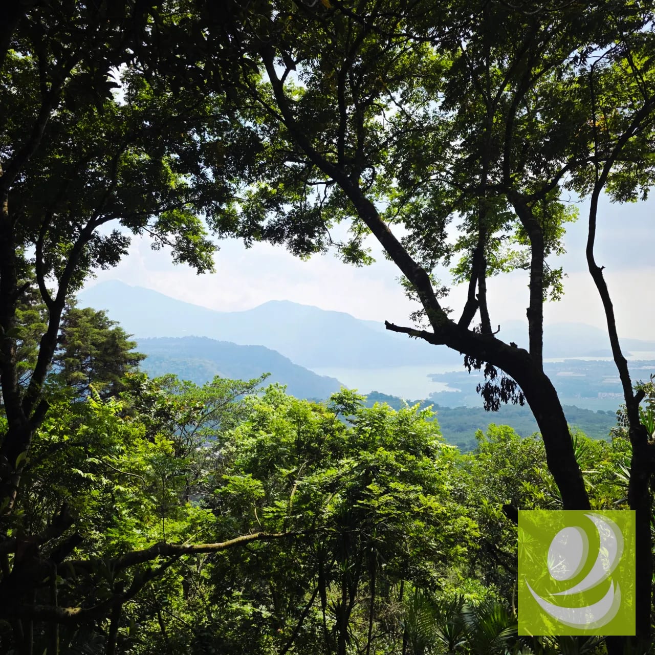 Vendo Terreno en Santa Elena Barillas — Casa en Venta en Bosques de San Nicolás, Santa Elena Barillas, Guatemala, Ciudad — foto 5 de 6