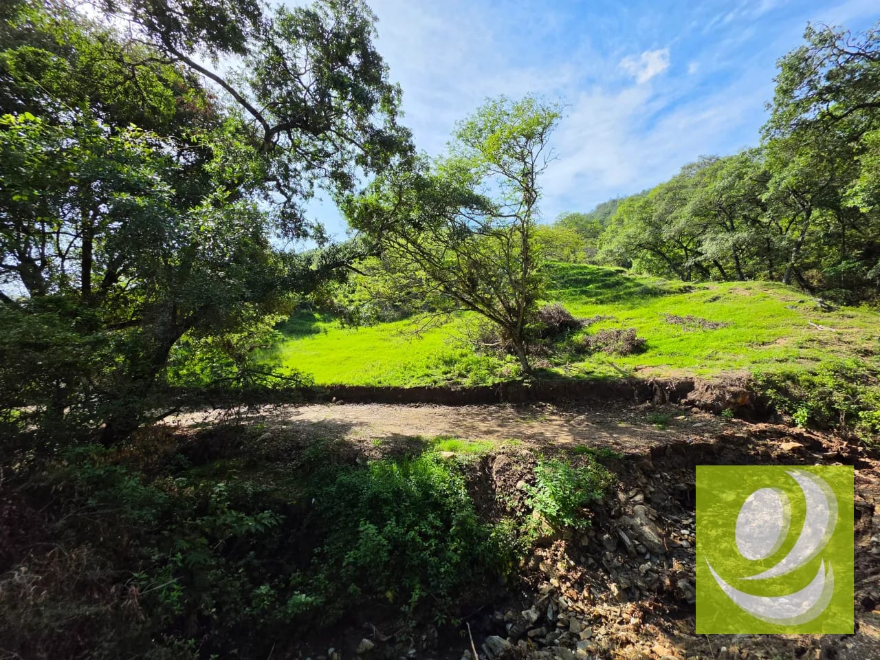 Finca de 43.7 Manzanas en Venta en Huehuetenango, por el Mamut — Finca en Venta en Huehuetenango, Huehuetenango — foto 4 de 10