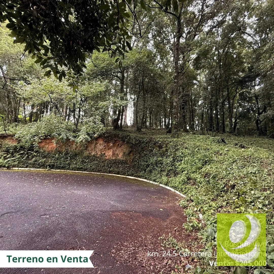 Terreno en Venta en Bosque Vivo km 24.5 carretera Interamericana — Terreno en Venta en San Lucas Sacatepéquez, Sacatepéquez — foto 1 de 6