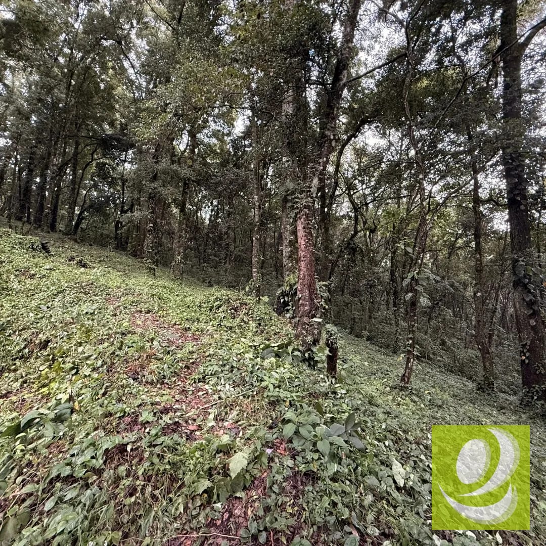 Terreno en Venta en Bosque Vivo km 24.5 carretera Interamericana — Terreno en Venta en San Lucas Sacatepéquez, Sacatepéquez — foto 2 de 6