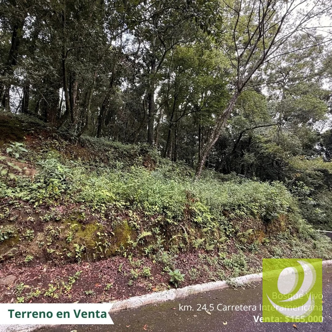Lote en Venta en Bosque Vivo San Lucas Sacatepequez — Terreno en Venta en San Lucas Sacatepéquez, Sacatepéquez — foto 1 de 4