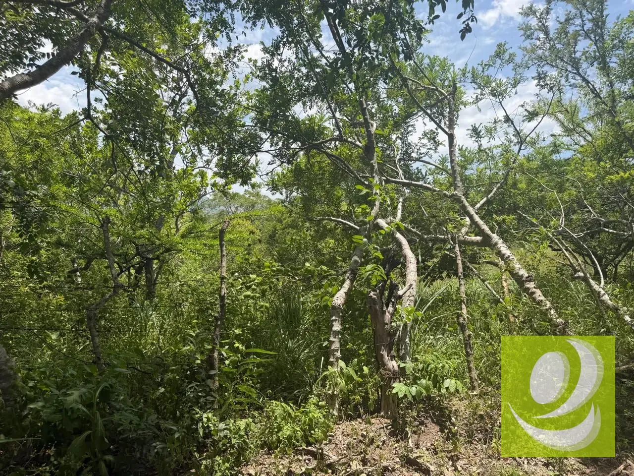 Terreno en Venta en Oratorio, Santa Rosa — Finca en Venta en Barcenas 1, Barberena, Santa Rosa — foto 2 de 4