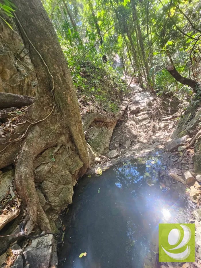 Terreno en Venta en Fraijanes ideal para Inversion — Finca en Venta en Carretera a El Salvador, Guatemala, Ciudad — foto 2 de 6