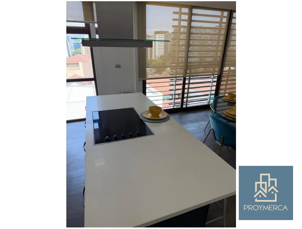 Apartamento amueblado en alquiler, Urbana Zona 10 - 3
