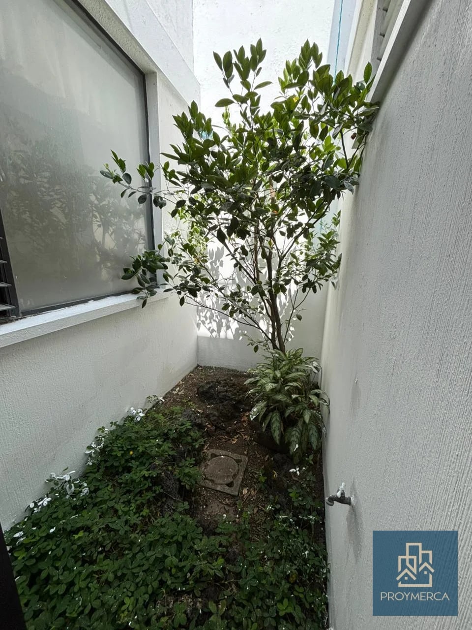 Casa en alquiler, Condominio Santa Amelia, Zona 16 — Casa en Alquiler en Santa Amelia, Zona 16, Guatemala, Ciudad — foto 6 de 13