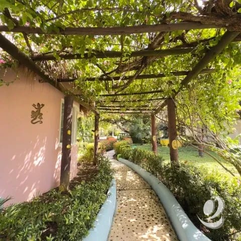 Chalet Amueblado en Venta Carretera a Monterrico — Casa vacacional en Venta en Iztapa, Escuintla — foto 13 de 17