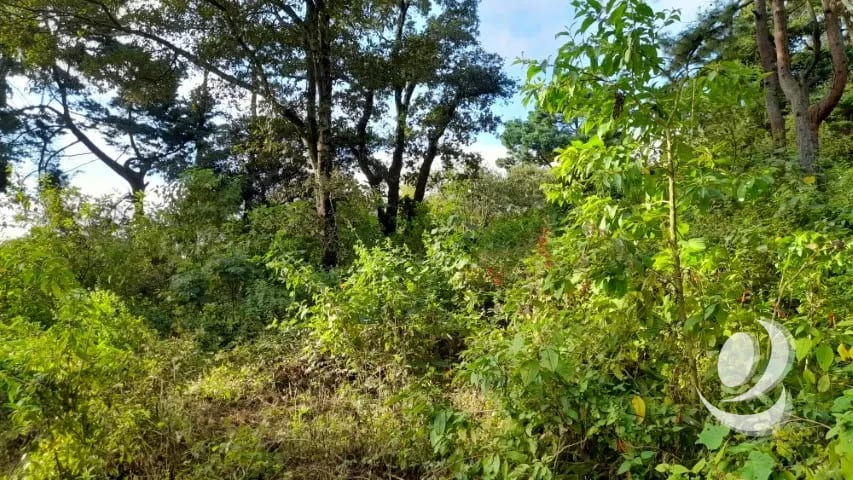 Terreno en Venta San Lucas Sacatepéquez, Guatemala — Terreno en Venta en San Lucas Sacatepéquez, Sacatepéquez — foto 2 de 16