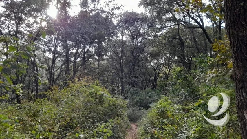 Terreno en Venta San Lucas Sacatepéquez, Guatemala — Terreno en Venta en San Lucas Sacatepéquez, Sacatepéquez — foto 4 de 16