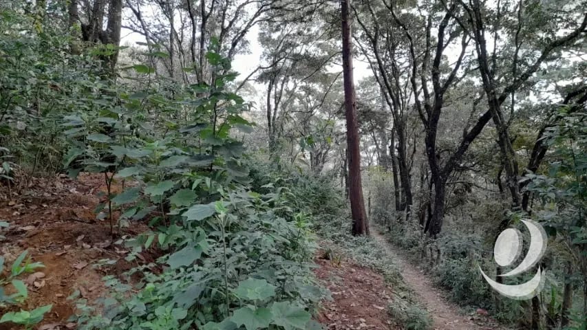 Terreno en Venta San Lucas Sacatepéquez, Guatemala — Terreno en Venta en San Lucas Sacatepéquez, Sacatepéquez — foto 6 de 16