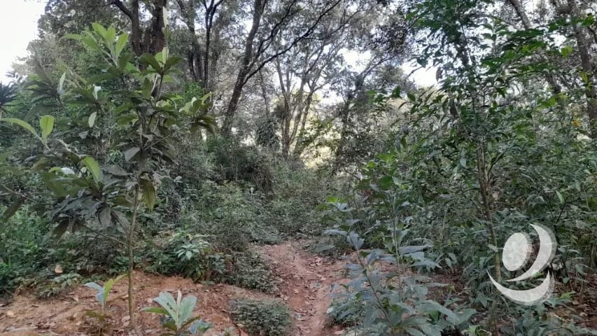Terreno en Venta San Lucas Sacatepéquez, Guatemala — Terreno en Venta en San Lucas Sacatepéquez, Sacatepéquez — foto 8 de 16