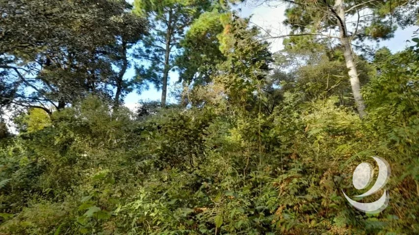 Terreno en Venta San Lucas Sacatepéquez, Guatemala — Terreno en Venta en San Lucas Sacatepéquez, Sacatepéquez — foto 12 de 16