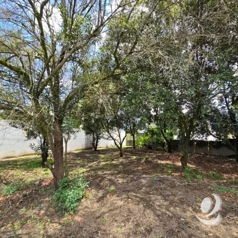 Terreno en Venta Hacienda Del Comendador, Sacatepéquez — Terreno en Venta en San Miguel Dueñas, Sacatepéquez — foto 9 de 16