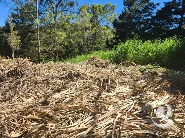 Terreno en Venta Fraijanes dentro de garita, Km 21 — Terreno en Venta en Carretera a El Salvador, Guatemala, Ciudad — foto 5 de 11