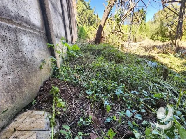 Terreno en Venta Fraijanes dentro de garita, Km 21 — Terreno en Venta en Carretera a El Salvador, Guatemala, Ciudad — foto 6 de 11