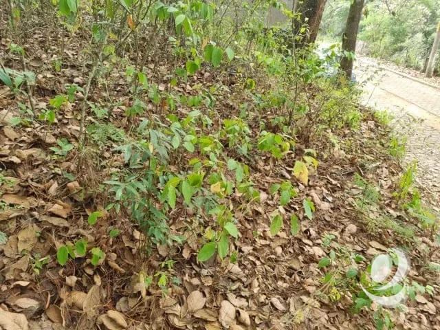 Terreno en Venta KM 32 San Lucas Sacatepéquez. Garita — Terreno en Venta en San Lucas Sacatepéquez, Sacatepéquez — foto 9 de 15