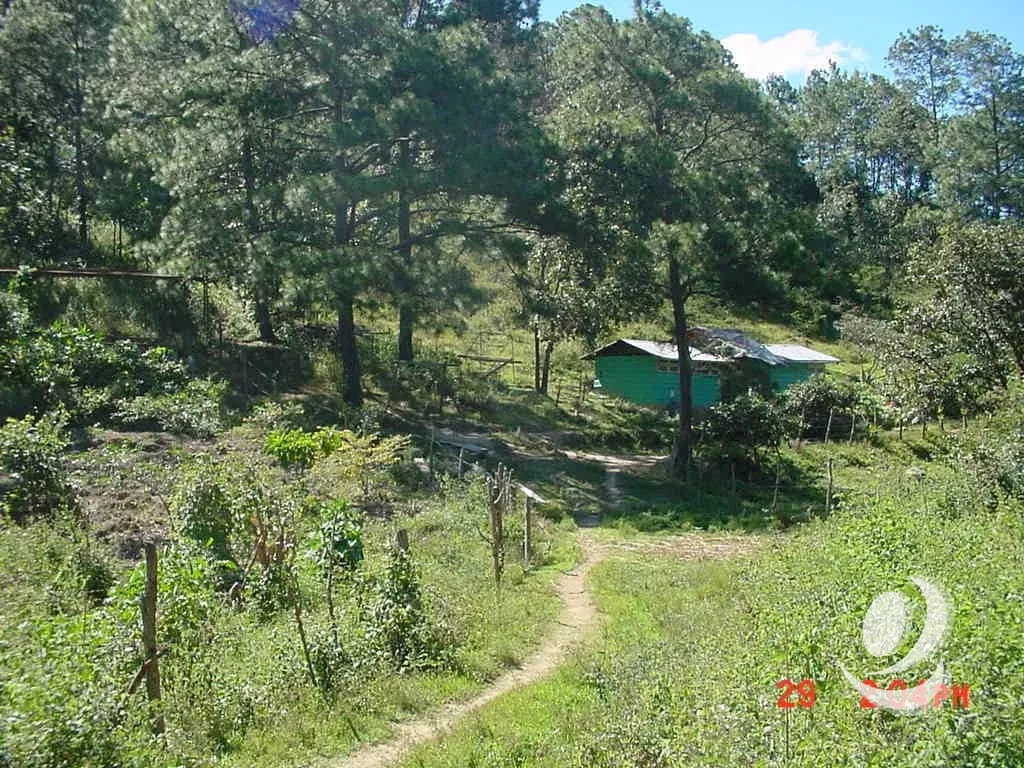 Vendo Finca Rustica en San Pedro Ayampuc — Finca en Venta en San Pedro Ayampuc, Guatemala, Ciudad — foto 2 de 10