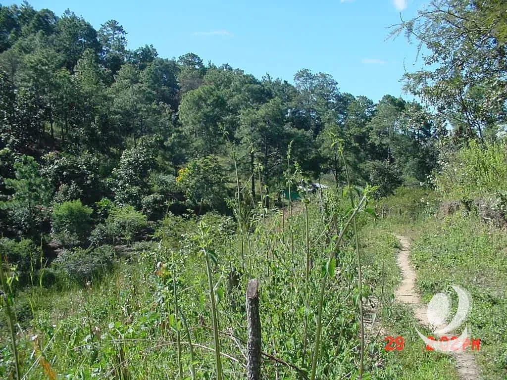 Vendo Finca Rustica en San Pedro Ayampuc — Finca en Venta en San Pedro Ayampuc, Guatemala, Ciudad — foto 9 de 10