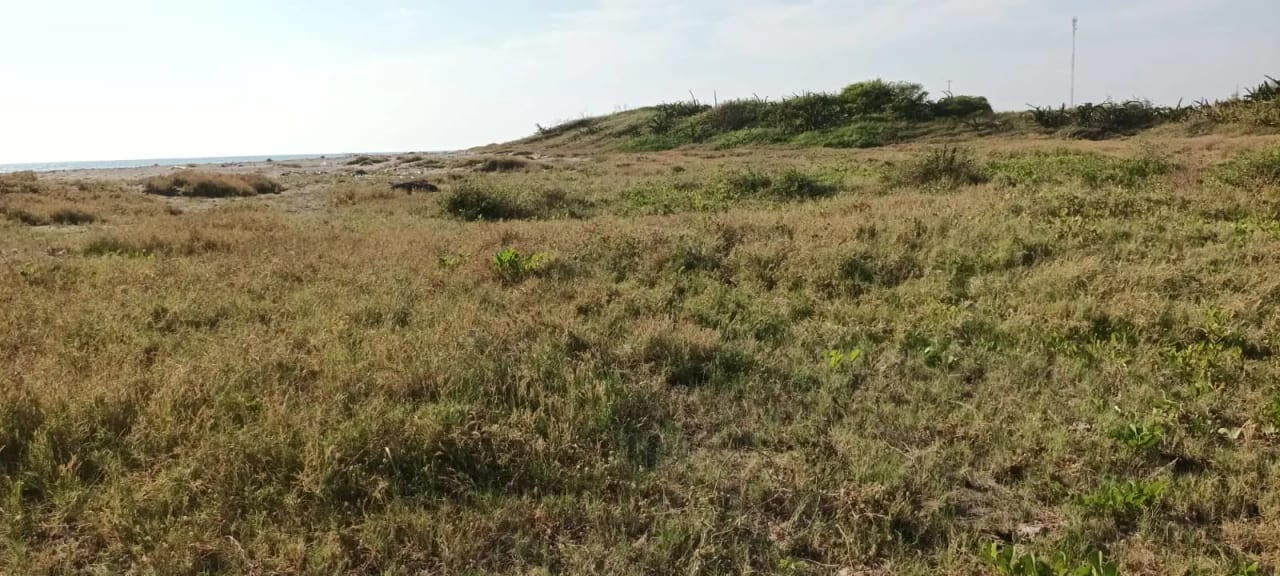 Terreno en venta La Barrona - Moyuta — Terreno en Alquiler en Moyuta, Jutiapa — foto 4 de 6