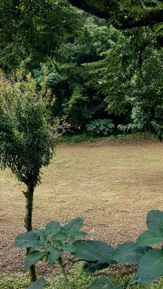 đż TERRENO EN VENTA â SANTA LUCĂA MILPAS ALTAS, SACATEPĂQUEZ â Terreno en Venta en Santa LucĂa Milpas Altas, SacatepĂ©quez â foto 5 de 17