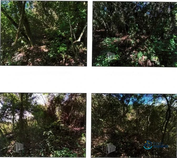 Terreno en venta en Zona 7 de Mixco — Terreno en Venta en El Encinal, Zona 7 Mixco, Guatemala, Ciudad — foto 4 de 4