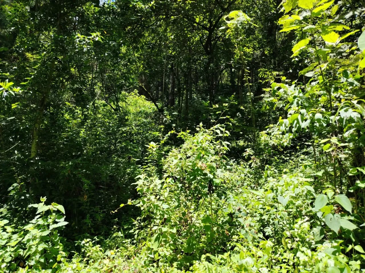 Vendo Terreno en Aldea el Platanar San Jose Pinula a la Par de Itpa — Terreno en Venta en San José Pinula, Guatemala, Ciudad — foto 2 de 3