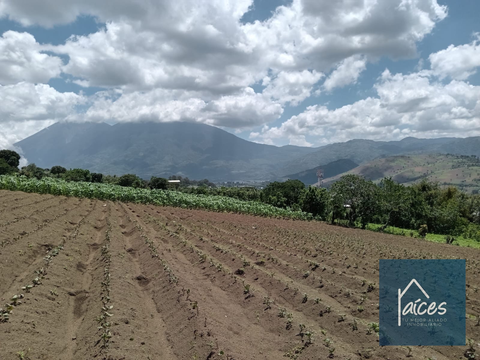 Terreno en venta Ciudad Vieja (*20) - 8