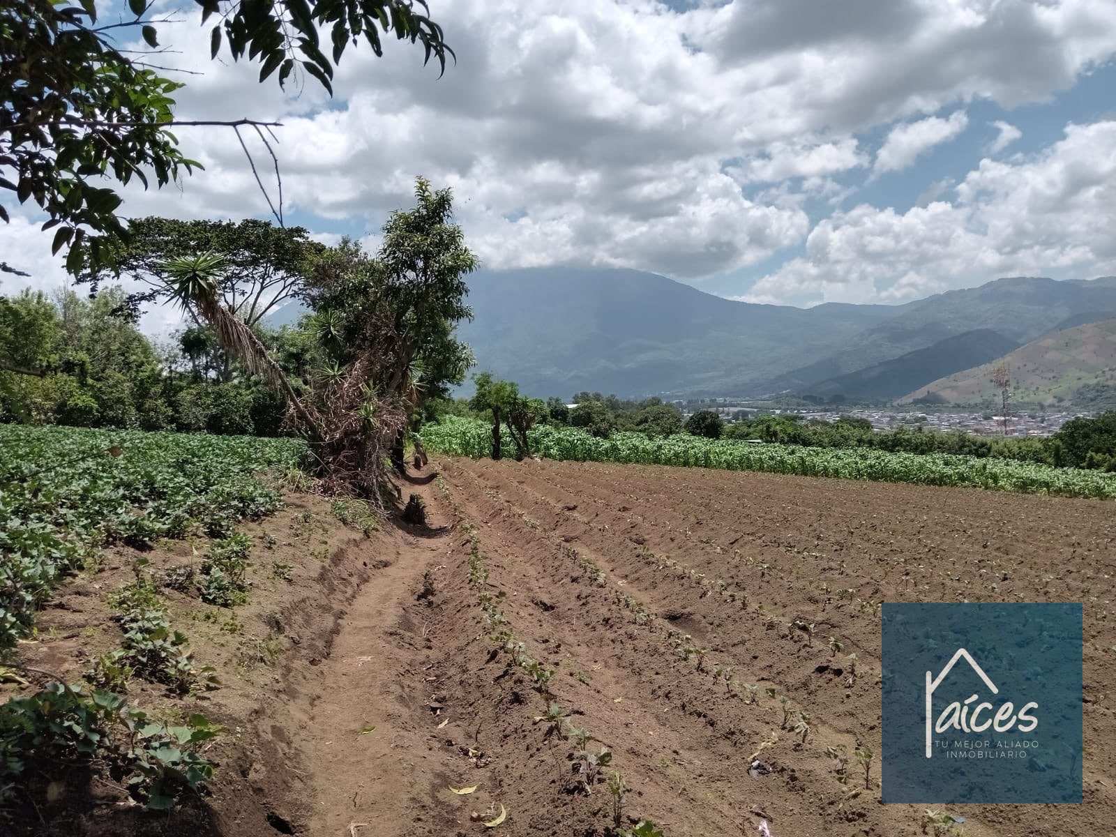 Terreno en venta Ciudad Vieja (*20) - 9