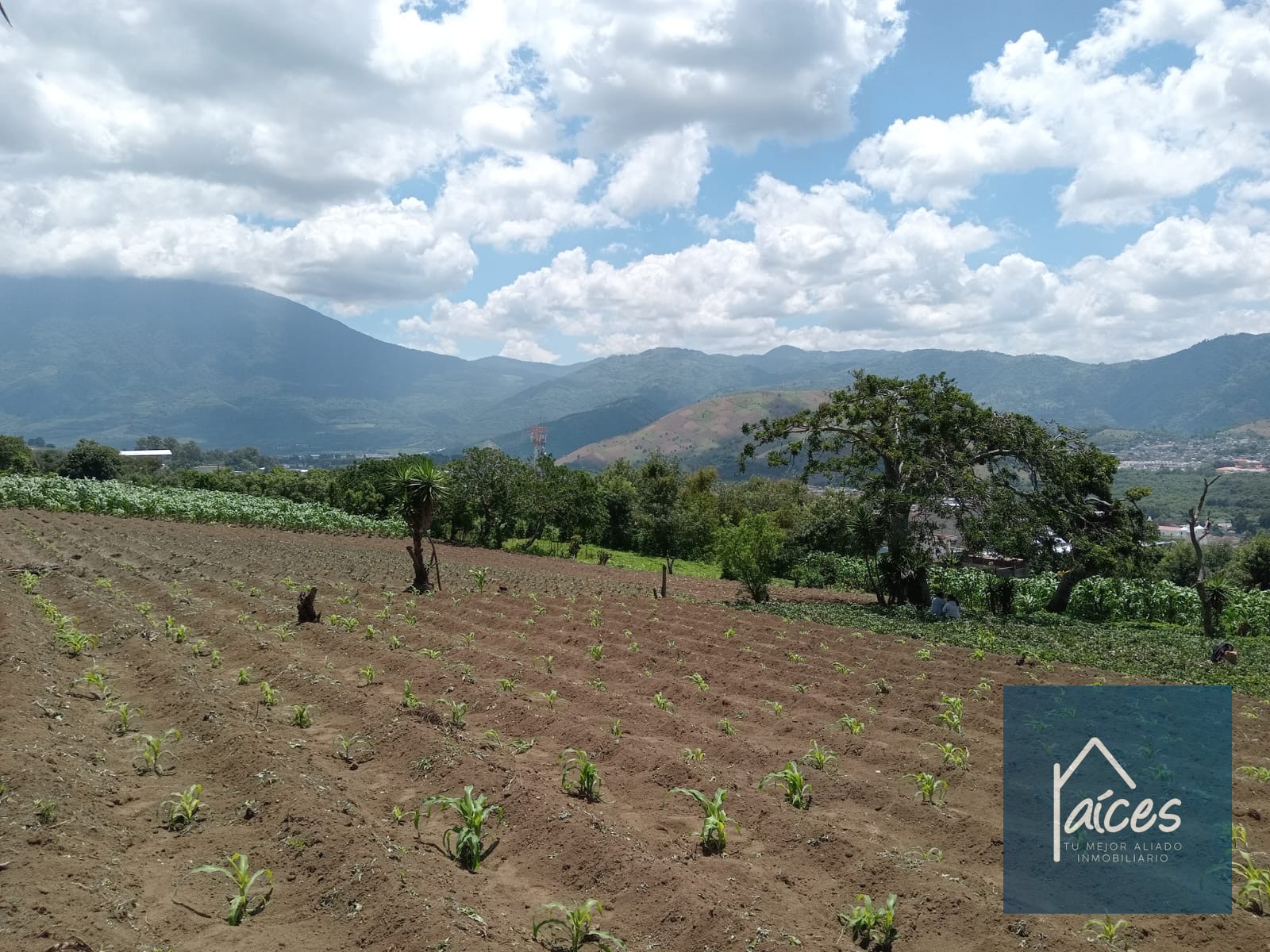 Terreno en venta Ciudad Vieja (*20) - 13