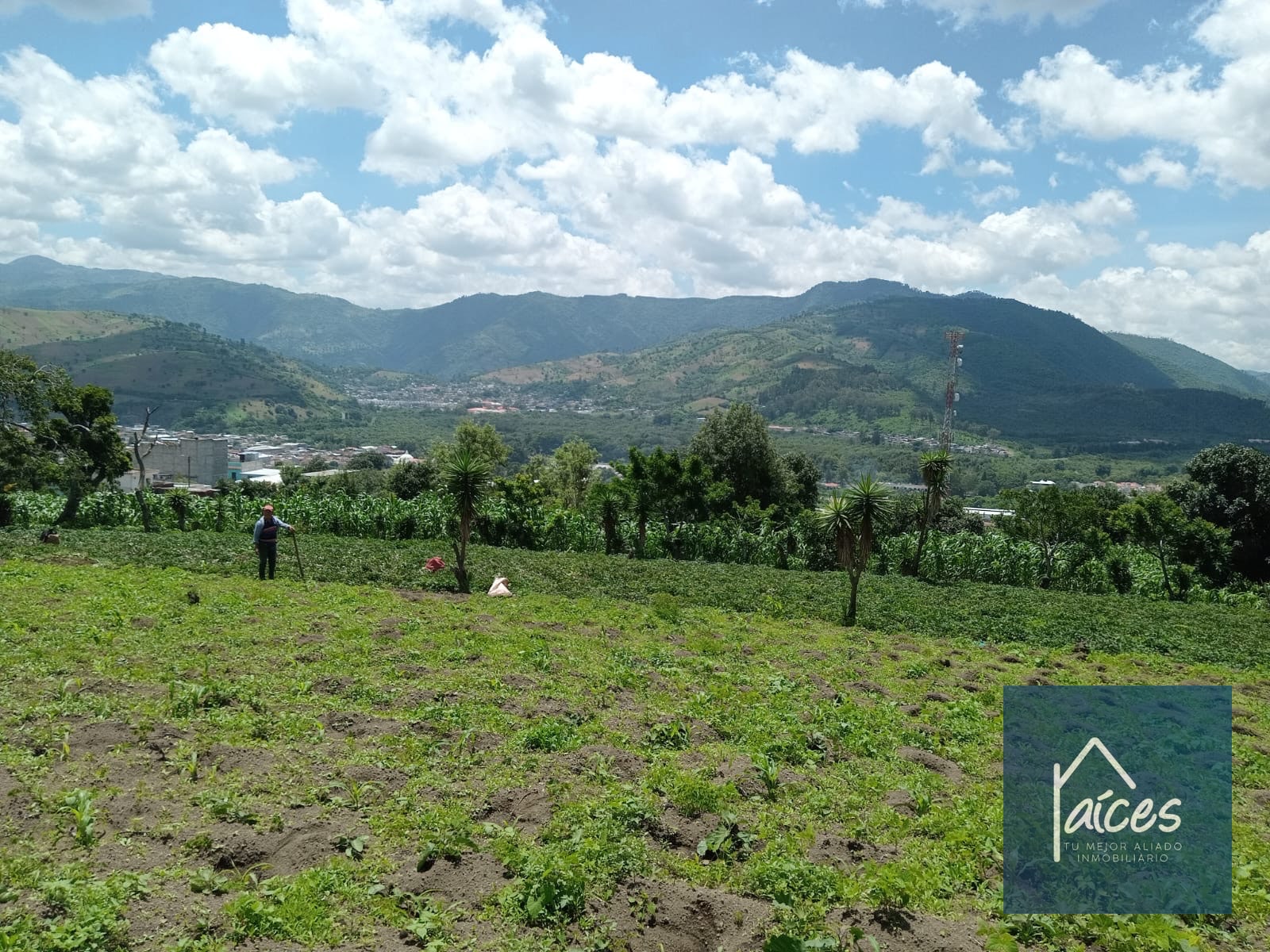 Terreno en venta Ciudad Vieja (*20) - 4
