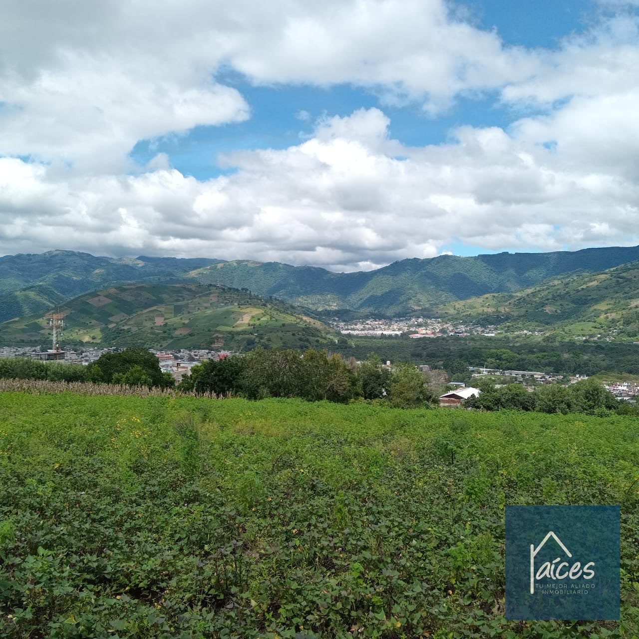 Terreno en venta Ciudad Vieja (*20) - 12
