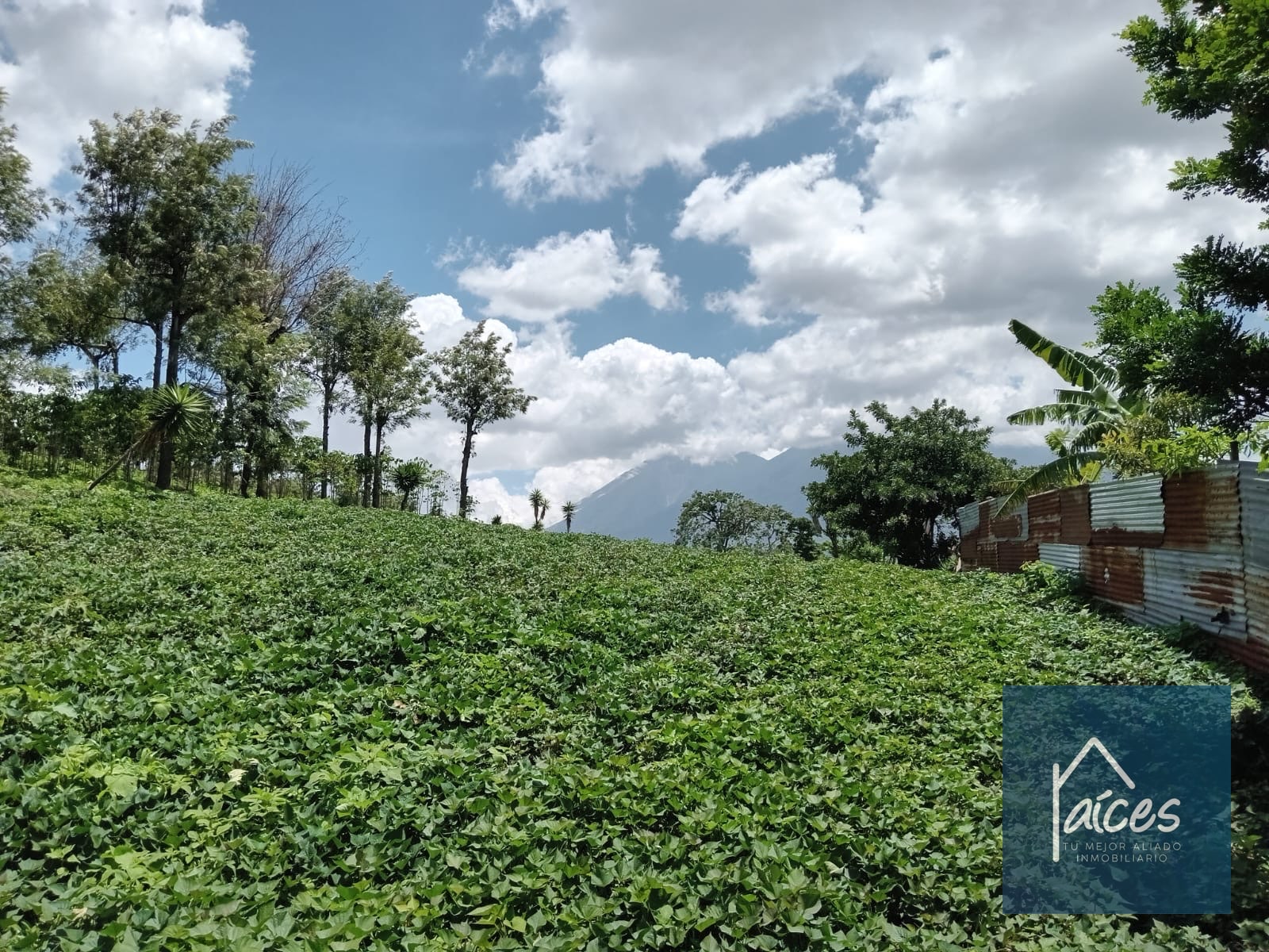 Terreno en venta Ciudad Vieja (*20) - 10