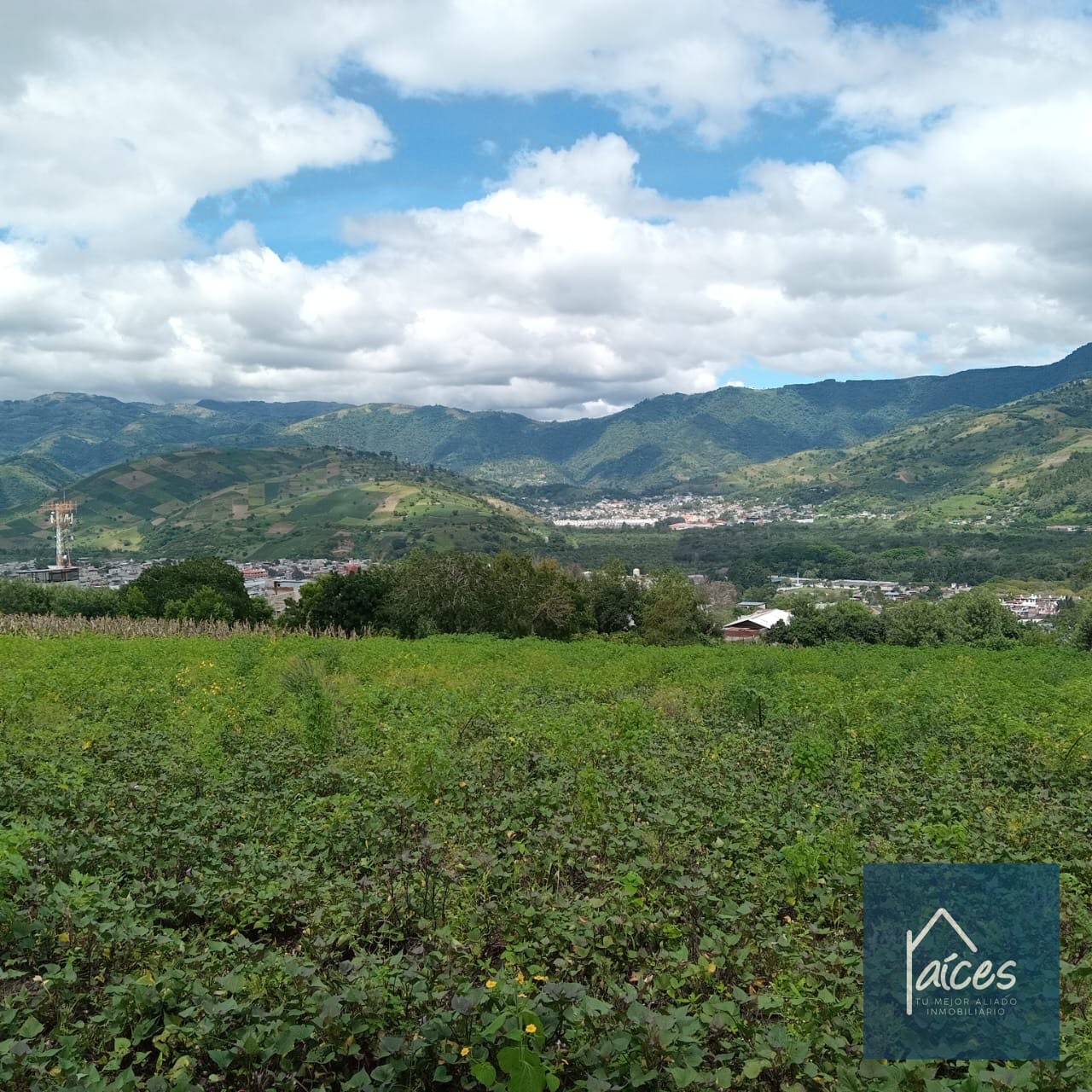 Terreno en venta, Ciudad Vieja - (20*) - 2