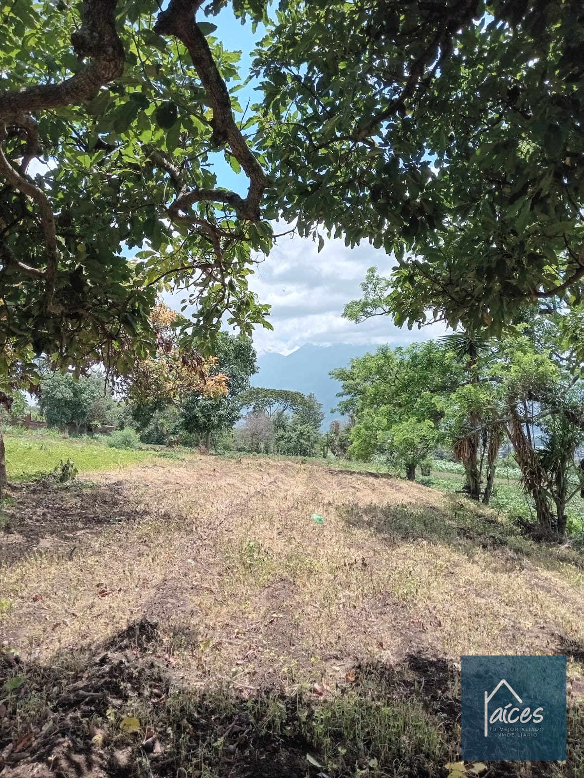 Terreno en venta, Ciudad Vieja - (20*) - 3