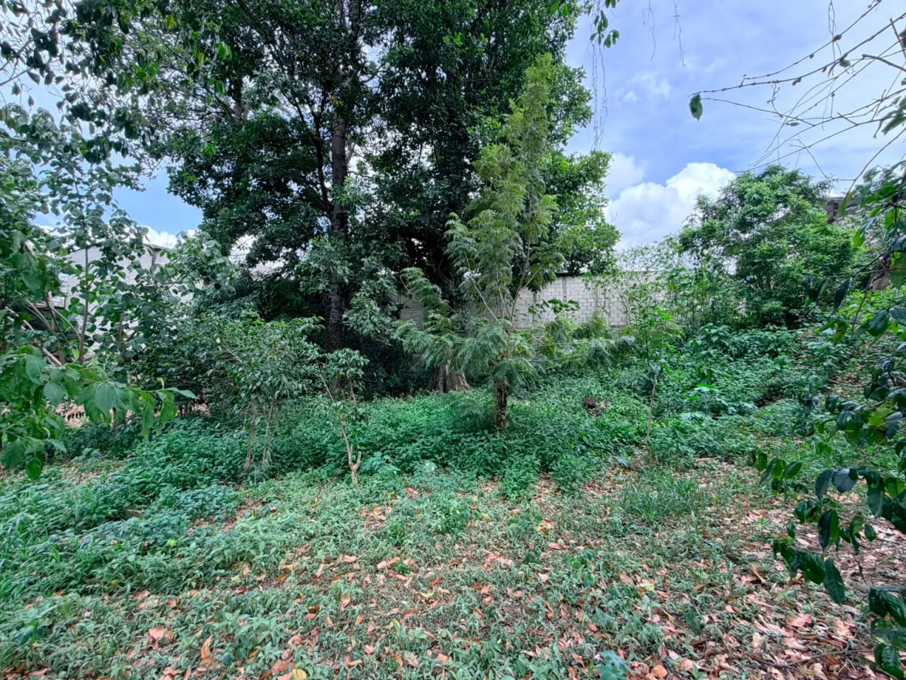Terreno en Venta en Jocotenango, Frontera con Antigua Guatemala — Terreno en Venta en Jocotenango, Sacatepéquez — foto 1 de 5
