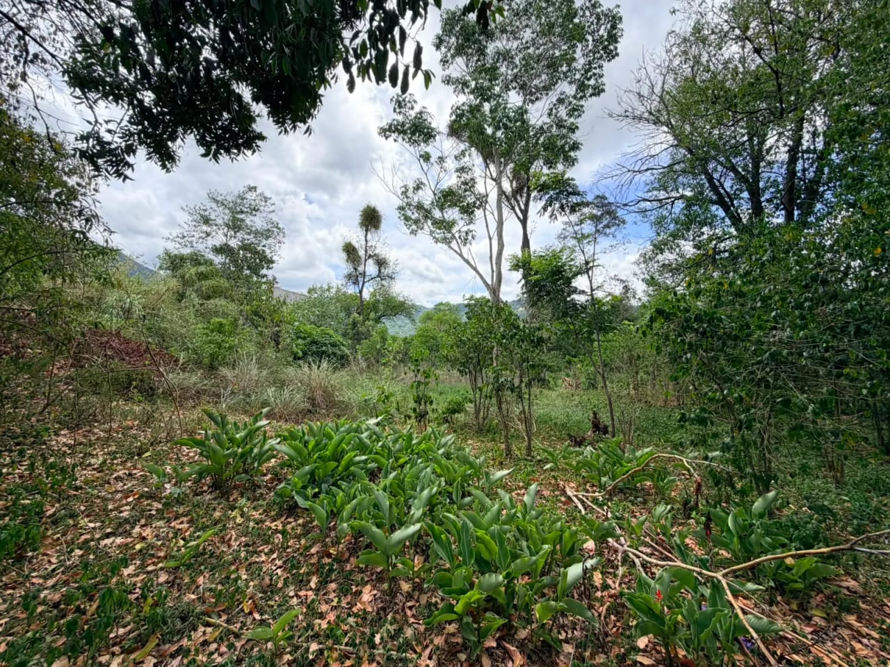 Terreno en Venta en Jocotenango, Frontera con Antigua Guatemala — Terreno en Venta en Jocotenango, Sacatepéquez — foto 2 de 5