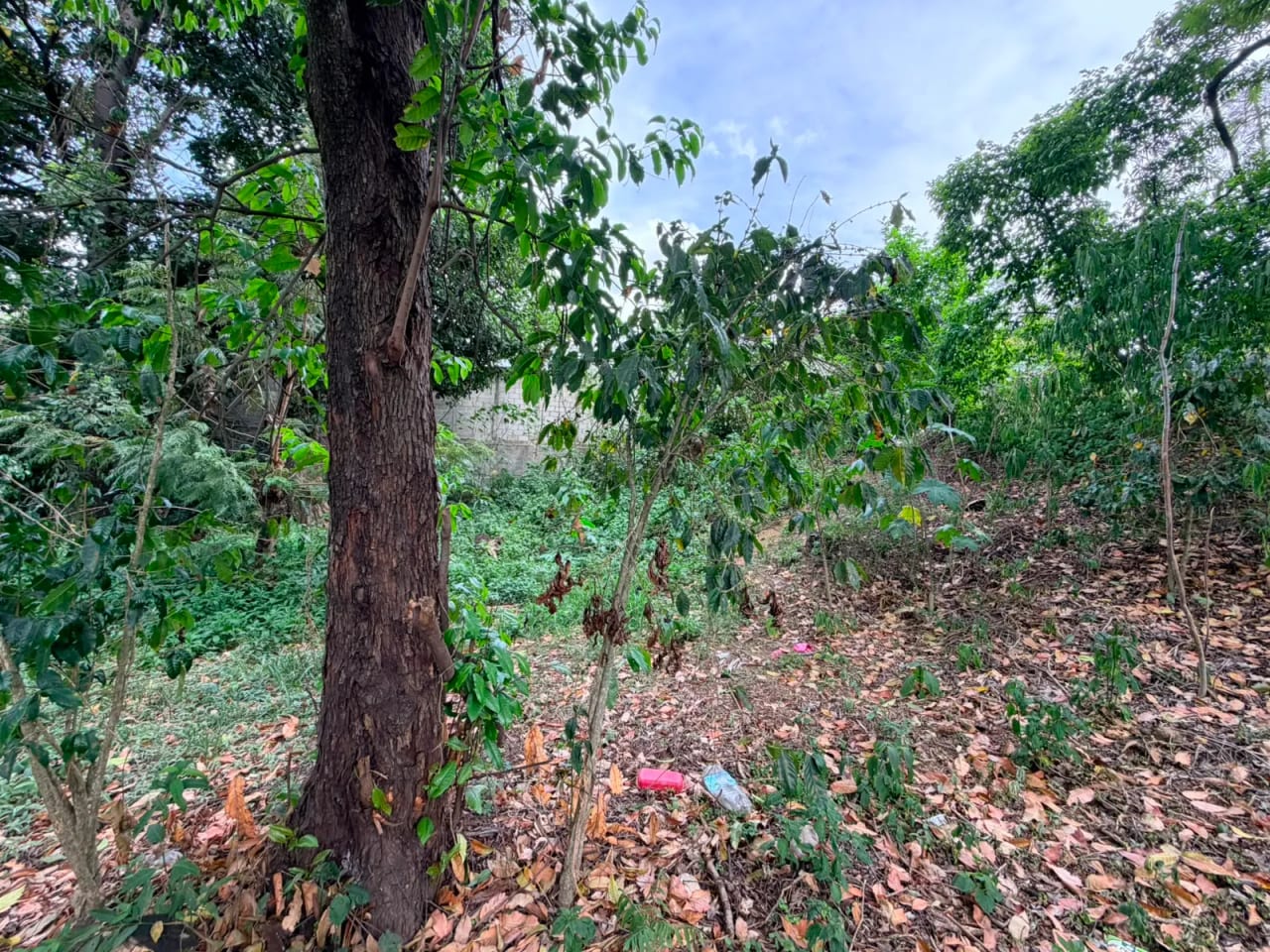 Terreno en Venta en Jocotenango, Frontera con Antigua Guatemala — Terreno en Venta en Jocotenango, Sacatepéquez — foto 5 de 5