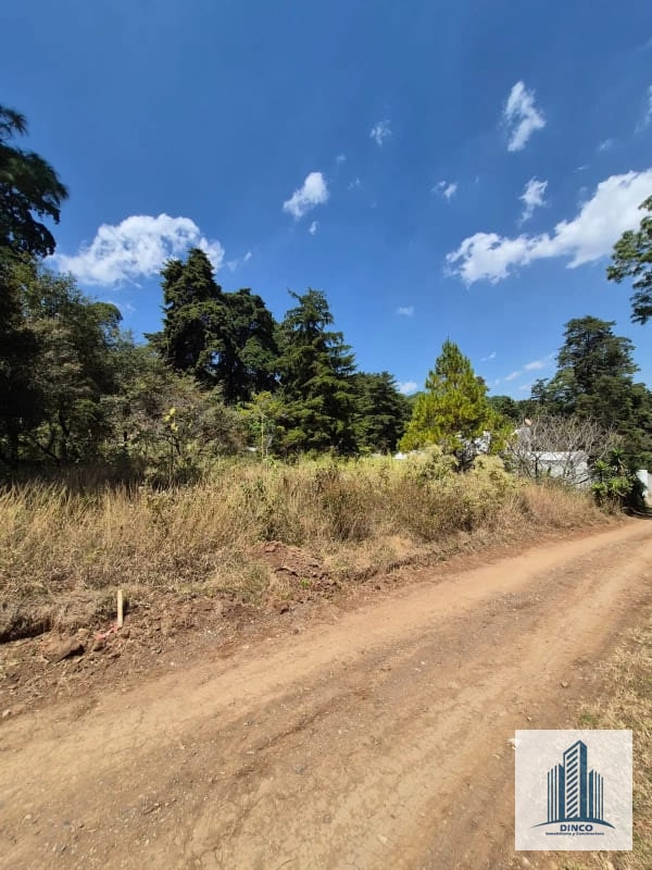 Vendo Terreno en El Encinal Zona 7 - 2