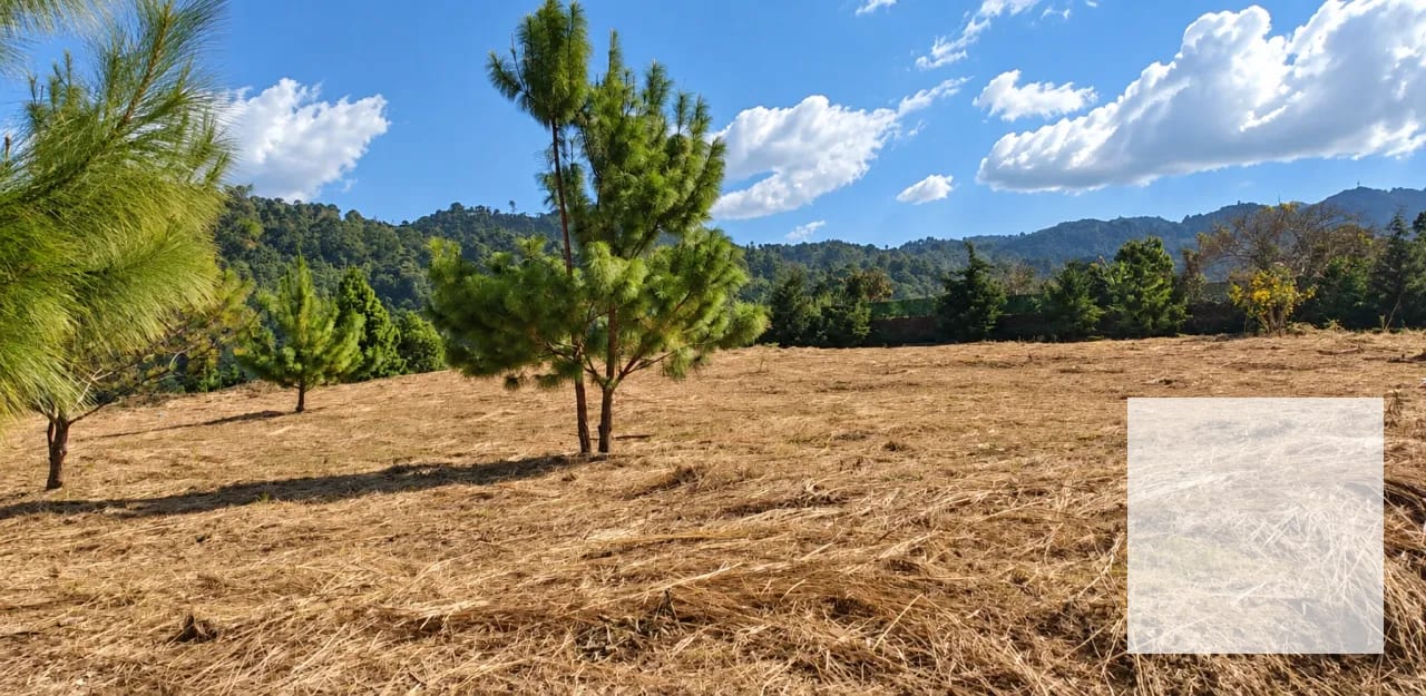 La Reserva L27 / Pulté Ecuestre — Terreno en Venta en El Pulté Ecuestre, Zona 16, Guatemala, Ciudad — foto 3 de 5