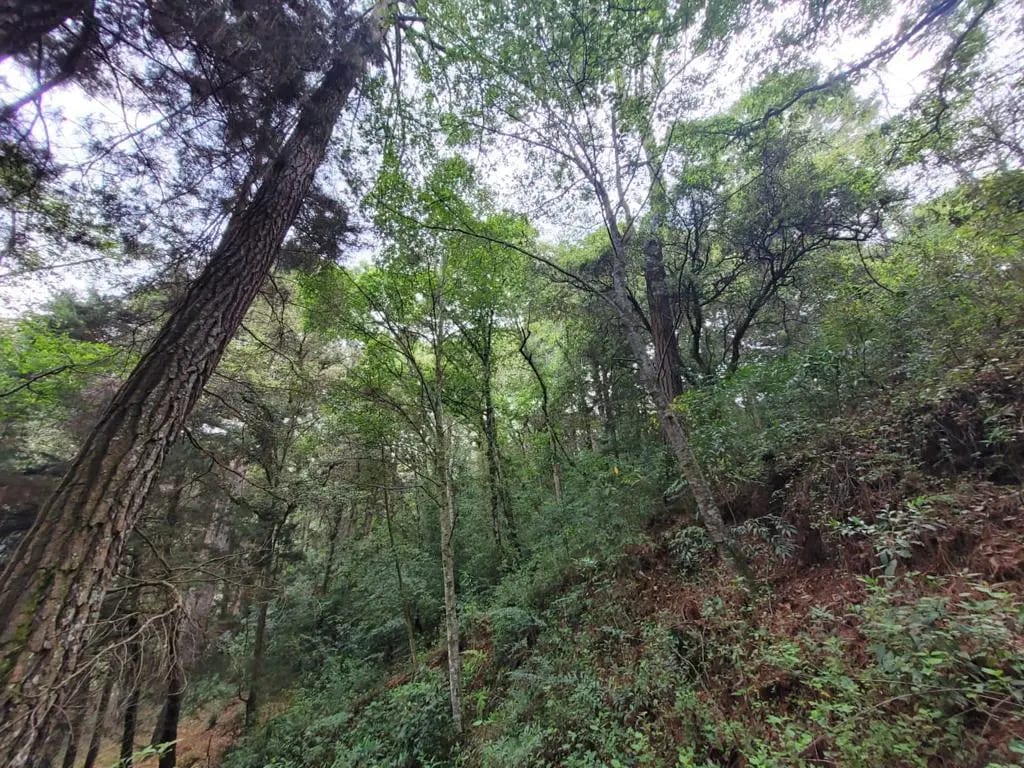 Terreno en Venta, Carretera a San Lucas — Terreno en Venta en San Lucas Sacatepéquez, Sacatepéquez — foto 13 de 13