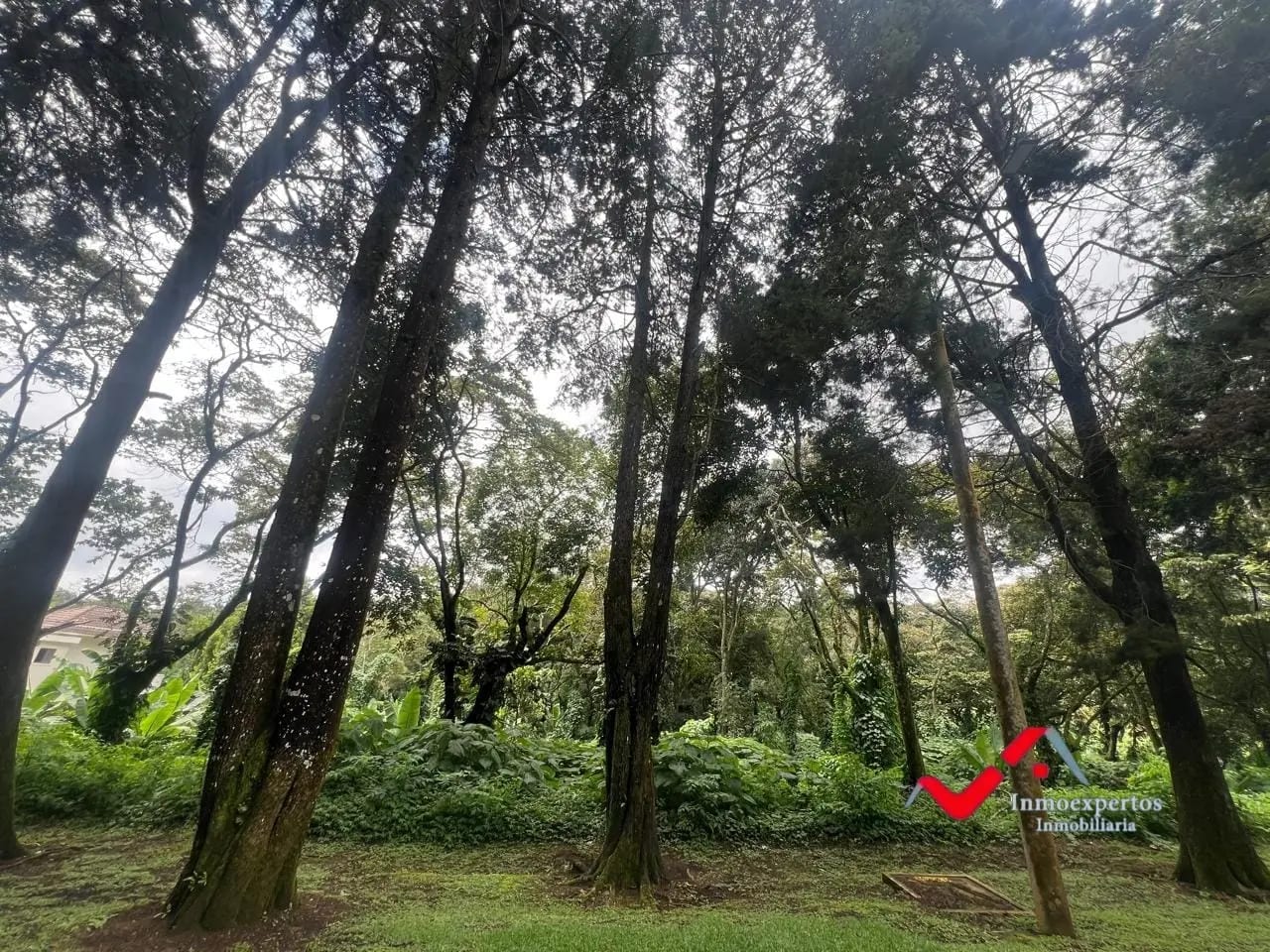 TERRENO EN VENTA, CARRETERA A EL SALVADOR | RESIDENCIAL PREMIER CAMPESTRE — Terreno en Venta en Premier Campestre, Carretera a El Salvador, Guatemala, Ciudad — foto 3 de 10