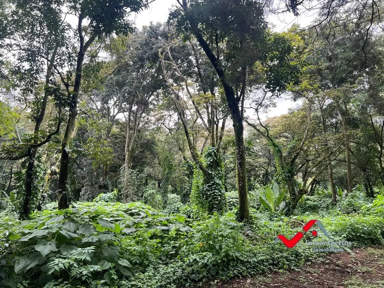 TERRENO EN VENTA, CARRETERA A EL SALVADOR | RESIDENCIAL PREMIER CAMPESTRE — Terreno en Venta en Premier Campestre, Carretera a El Salvador, Guatemala, Ciudad — foto 4 de 10