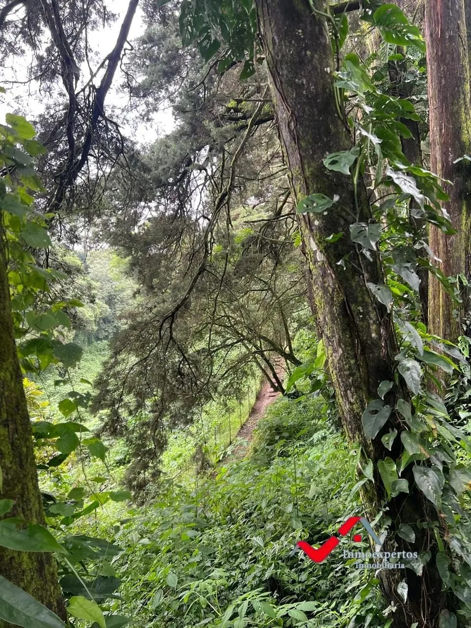 TERRENO EN VENTA, CARRETERA A EL SALVADOR | RESIDENCIAL PREMIER CAMPESTRE — Terreno en Venta en Premier Campestre, Carretera a El Salvador, Guatemala, Ciudad — foto 6 de 10