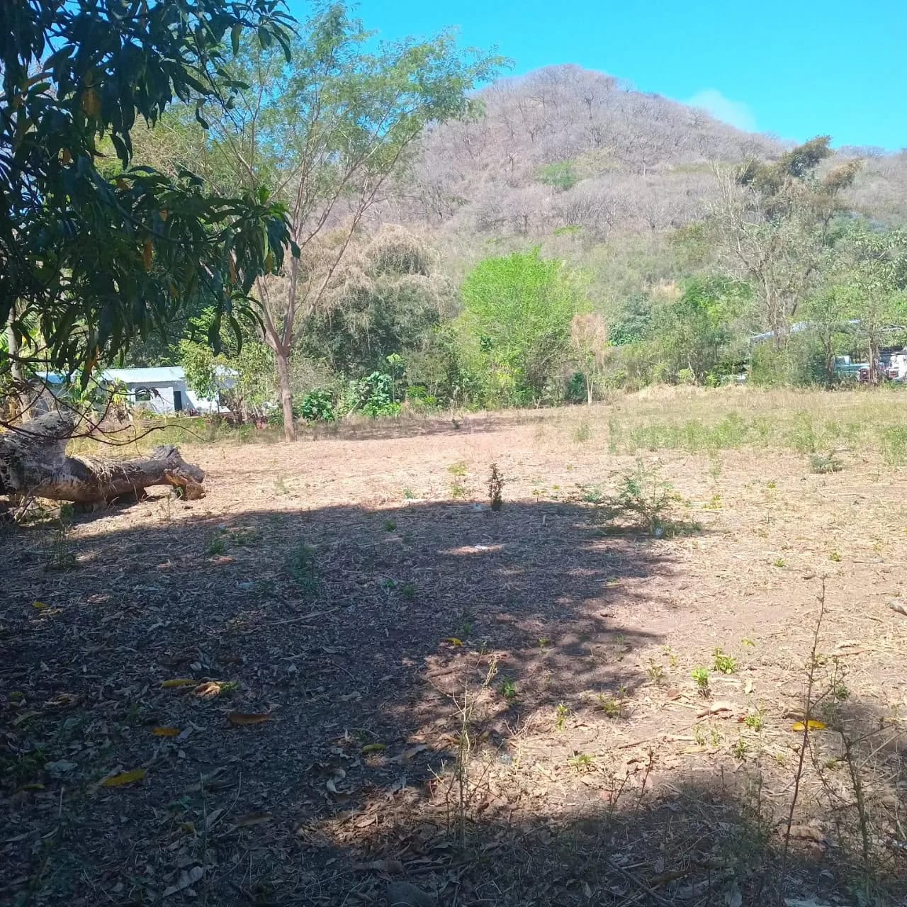 Terreno en Renta | Km. 147 Carretera a Frontera Pedro de Alvarado — Terreno en Alquiler en Pasaco, Jutiapa — foto 2 de 4